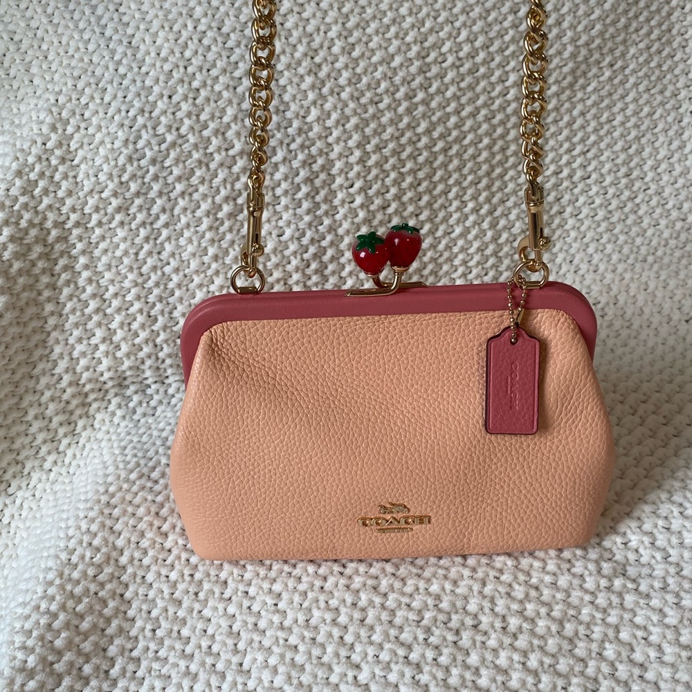 Coach Nora kisslock crossbody purse